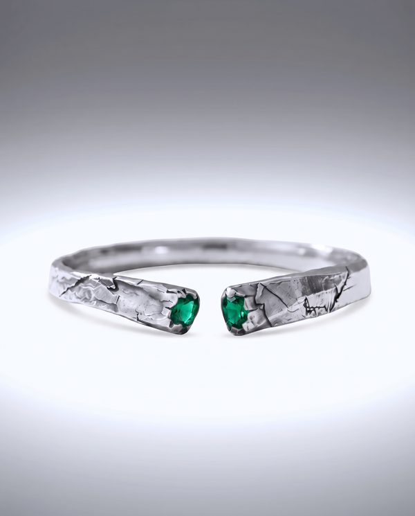HIATUS VIRIDIS